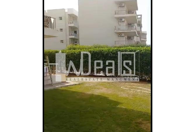 8013928 - Property Image 3