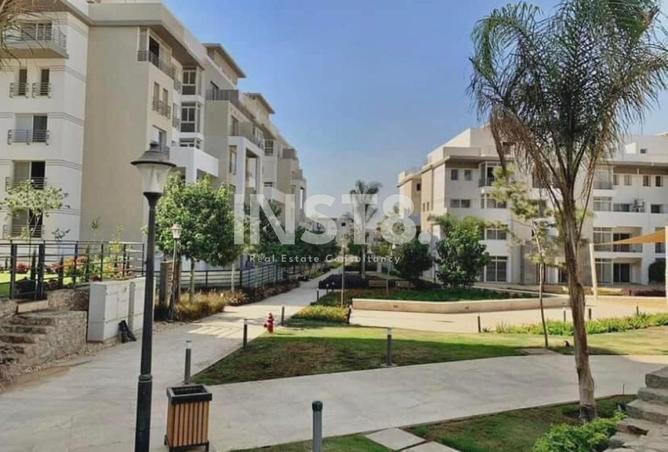 8185878 - Property Image 3