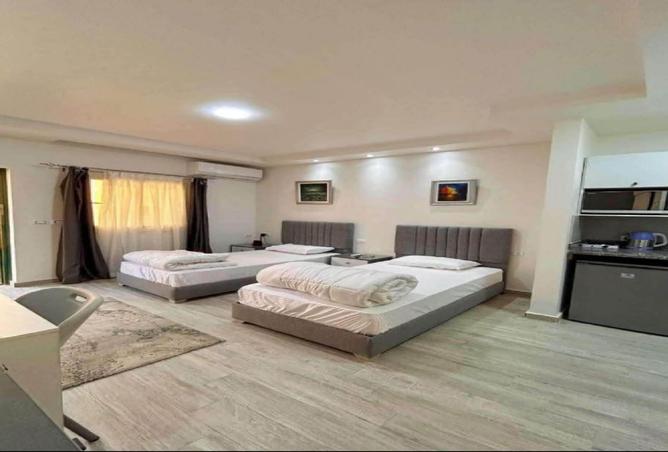 8561244 - Property Image 3