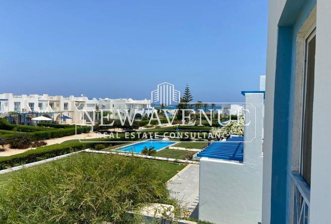 7901833 - Property Image 3