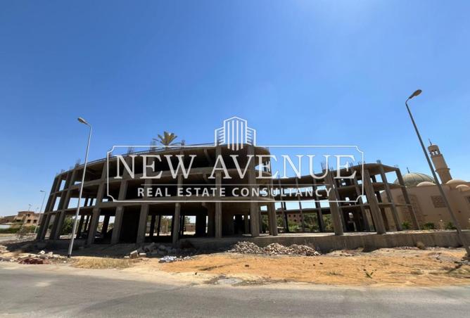 7900835 - Property Image 3