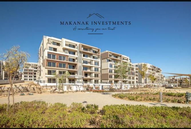 8442484 - Property Image 2