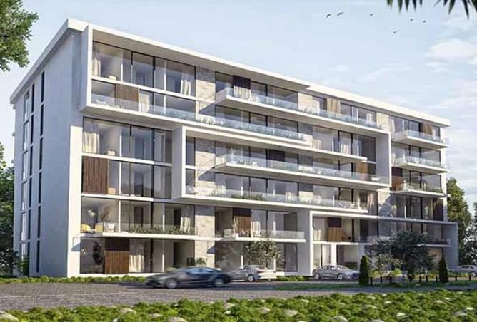 8239006 - Property Image 2