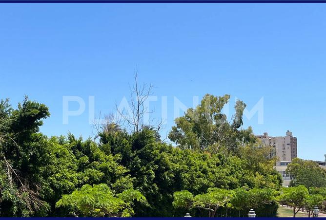 7930232 - Property Image 2