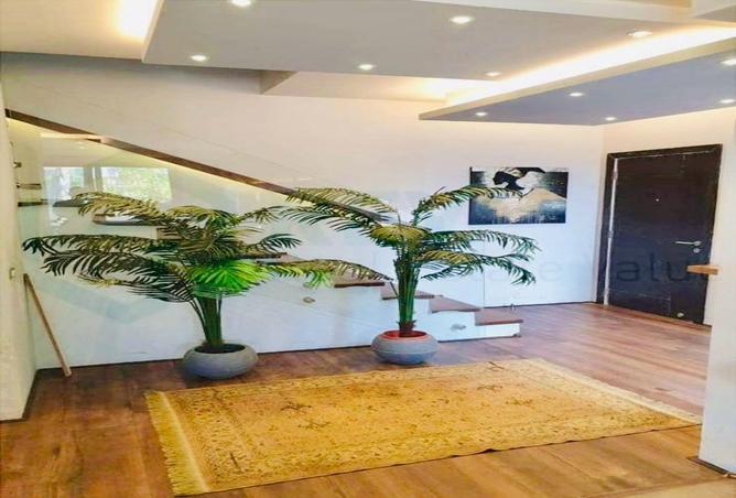 8001620 - Property Image 3