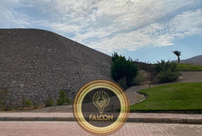 8423850 - صورة العقار 3