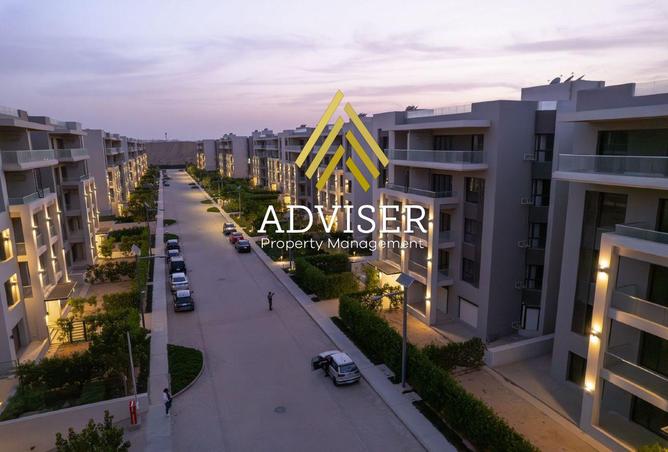 8278778 - Property Image 2