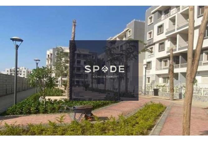 8282517 - صورة العقار 3