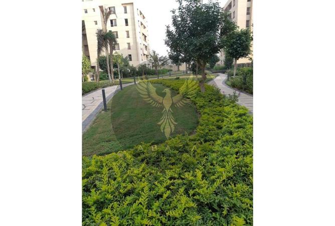 7885663 - Property Image 2
