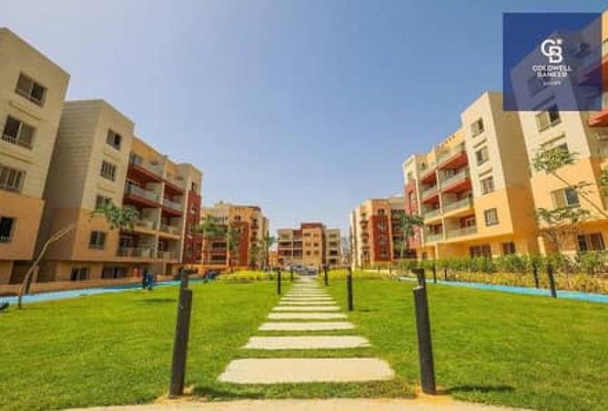 8016853 - Property Image 3