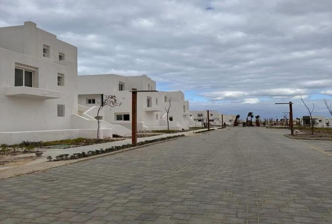 8068803 - صورة العقار 3