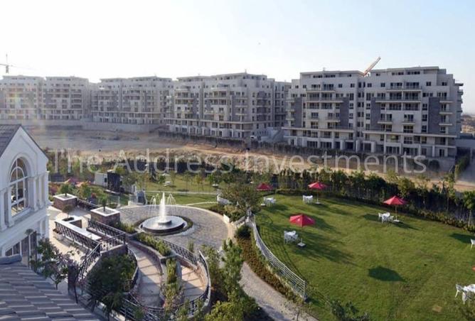 7923580 - Property Image 3