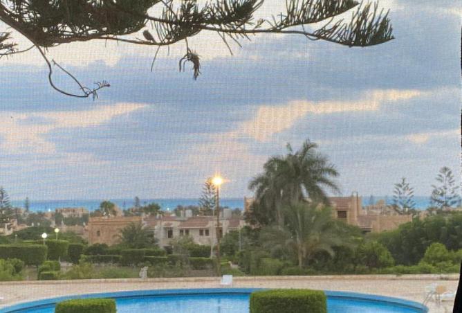 8464601 - صورة العقار 2