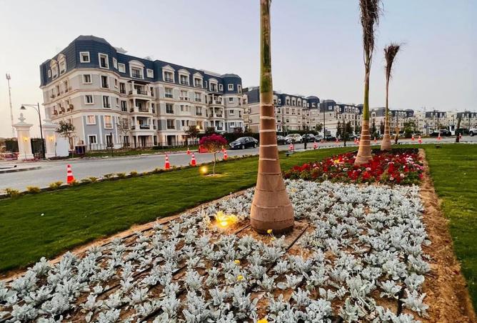 8414266 - صورة العقار 3