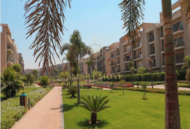 8140709 - Property Image 3