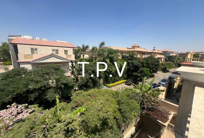 8263580 - Property Image 2