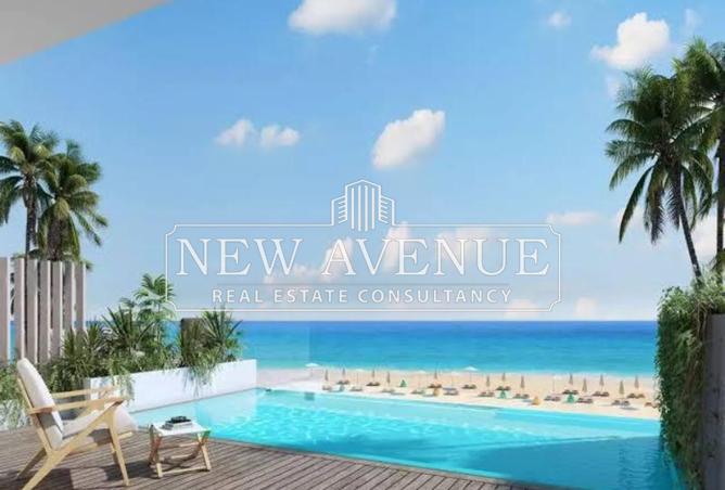 8384027 - Property Image 3