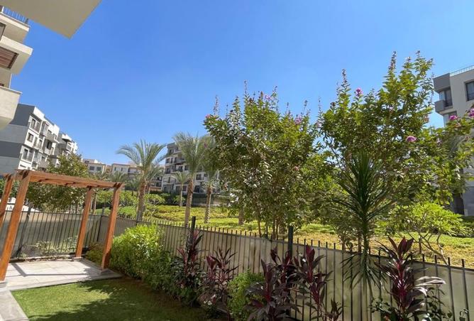 8043131 - Property Image 3