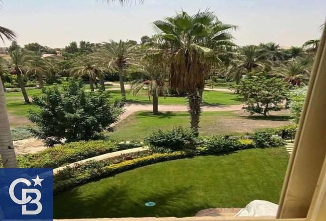 8325407 - صورة العقار 3