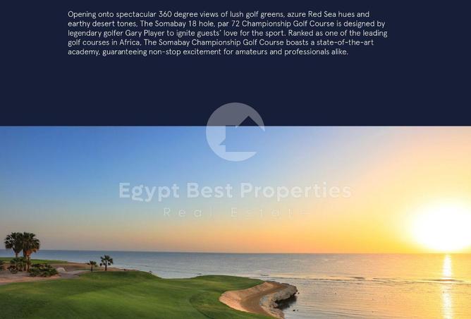 7916867 - Property Image 2