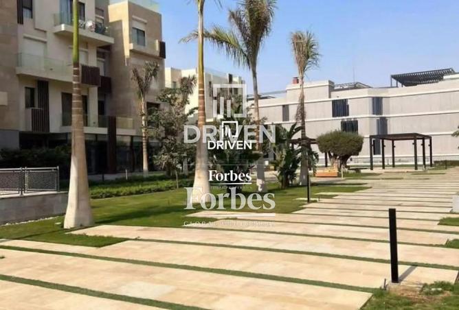 8535719 - Property Image 3