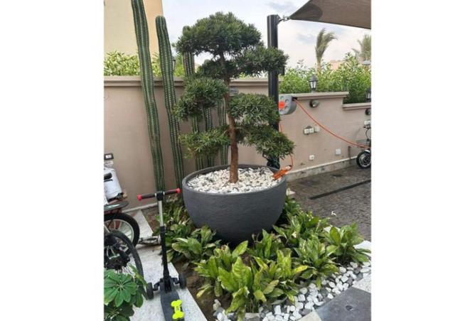 8016101 - Property Image 3