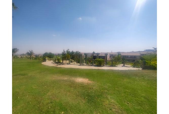 8008499 - صورة العقار 3