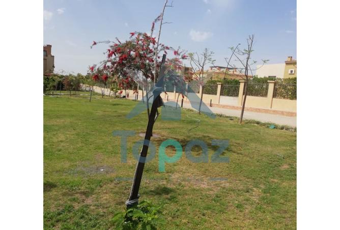 7900960 - Property Image 2