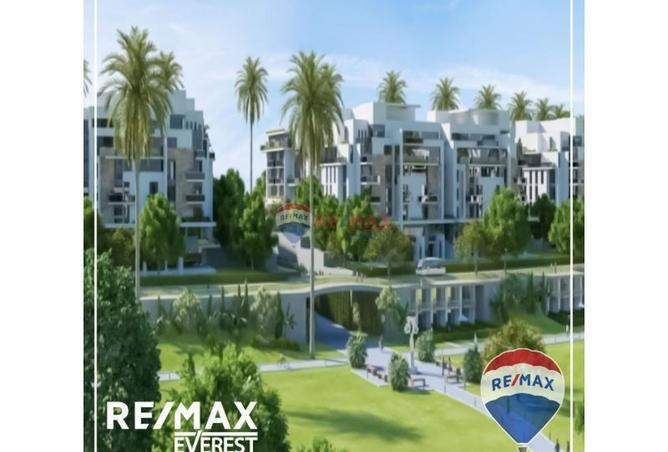 8193716 - Property Image 3