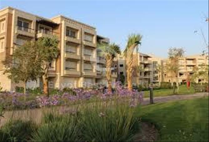 7983198 - Property Image 2