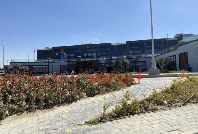 8448191 - Property Image 3