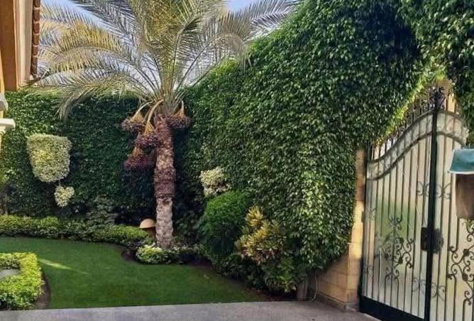 7920327 - صورة العقار 3