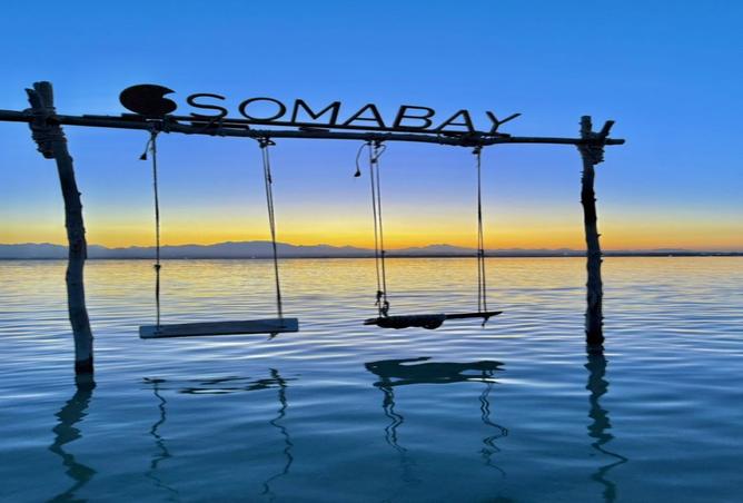 8237356 - صورة العقار 2