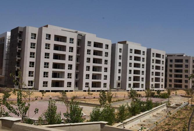 8259335 - Property Image 3