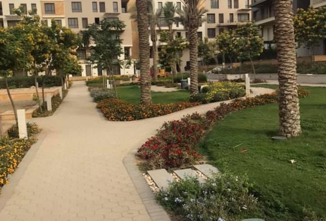 8262106 - Property Image 3