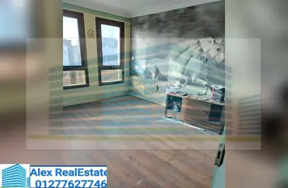 Office Space - Studio - 1 Bathroom for rent in Al Nasr St. - El Mansheya - Hay El Gomrok - Alexandria