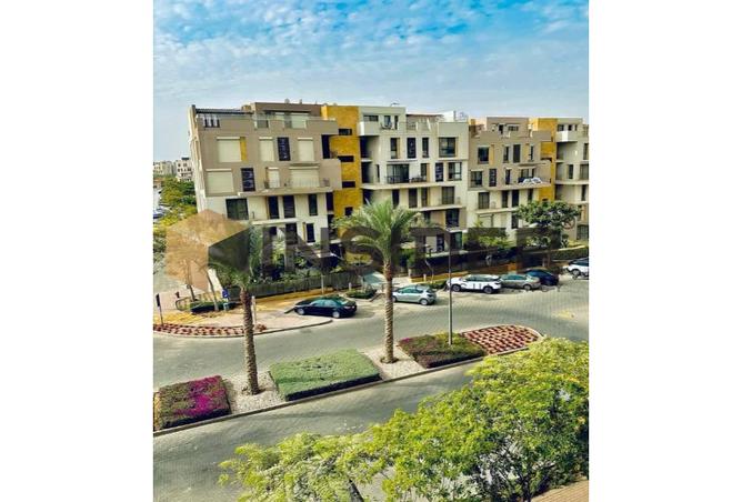 7982192 - صورة العقار 3