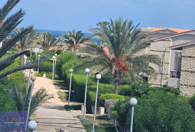 7933609 - الصورة الرئيسية للعقار