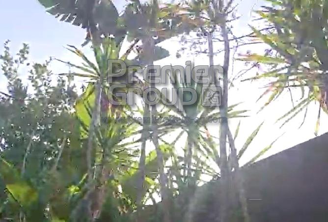 8286663 - Property Image 2