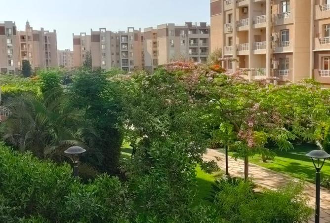 8174483 - صورة العقار 3