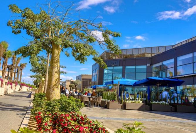 8170892 - الصورة الرئيسية للعقار