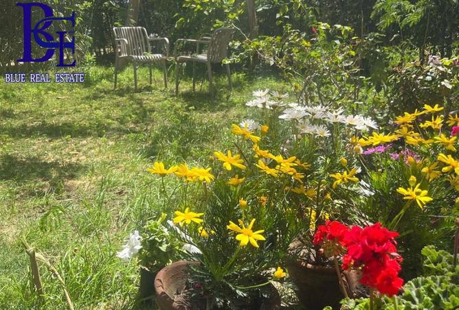 8380515 - صورة العقار 3