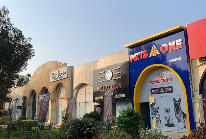 8394123 - صورة العقار 3