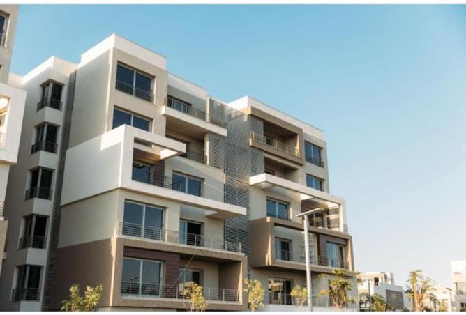 8215505 - Property Image 3