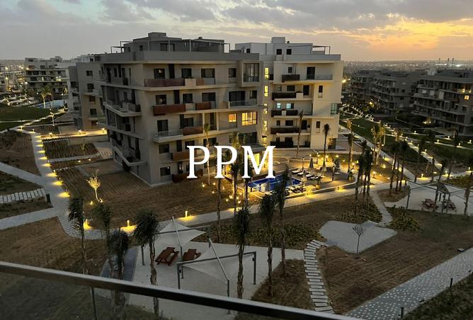 8473577 - Property Image 3