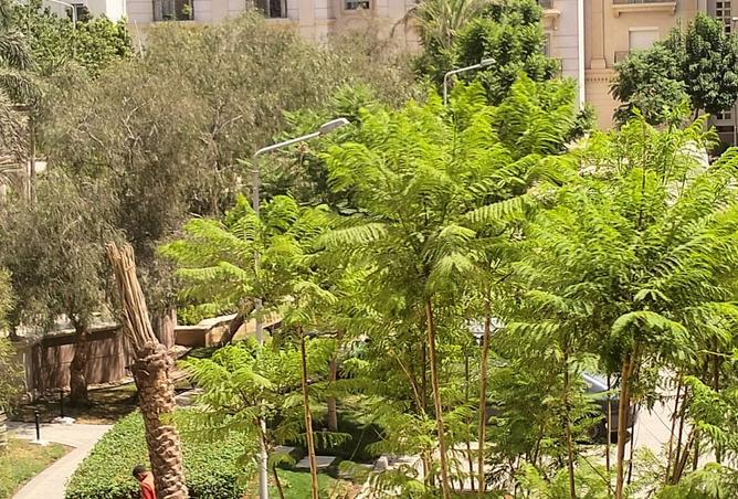 8353248 - Property Image 2