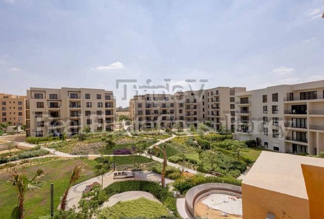 7939107 - صورة العقار 2