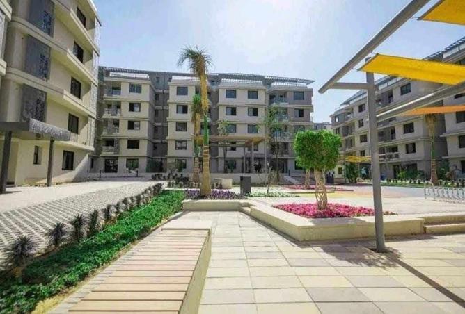 8214569 - Property Image 3