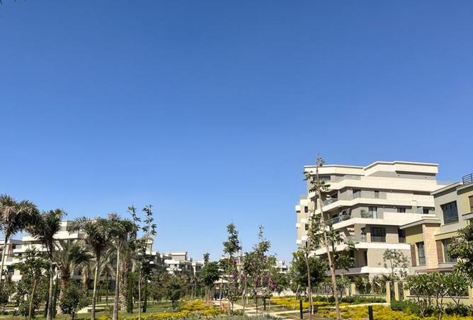7896392 - صورة العقار 3