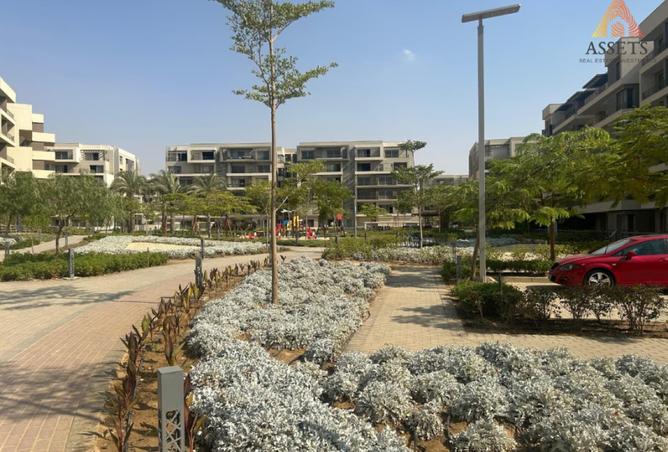 8127582 - صورة العقار 3